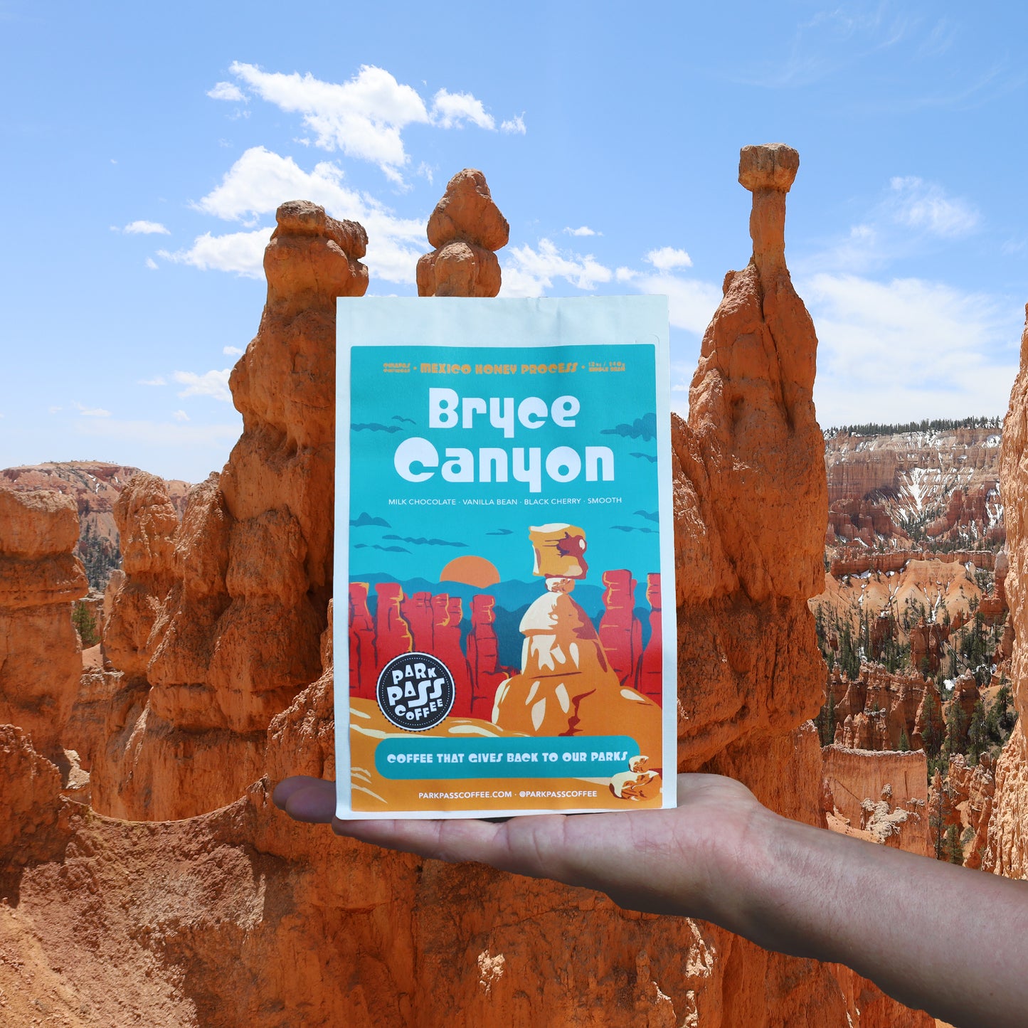 BRYCE CANYON - Chiapas: Mexico Honey Process