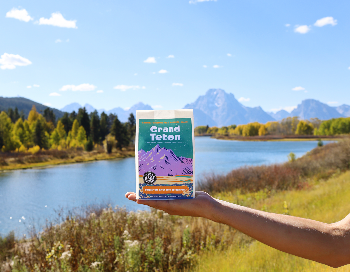 GRAND TETON - Gotiti: Ethiopia Yirgacheffe Natural