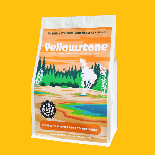 PRE-PAID, 1 Year of Coffee Gift (includes monthly shipping) - ROTATING SINGLE ORIGIN SUBSCRIPTION