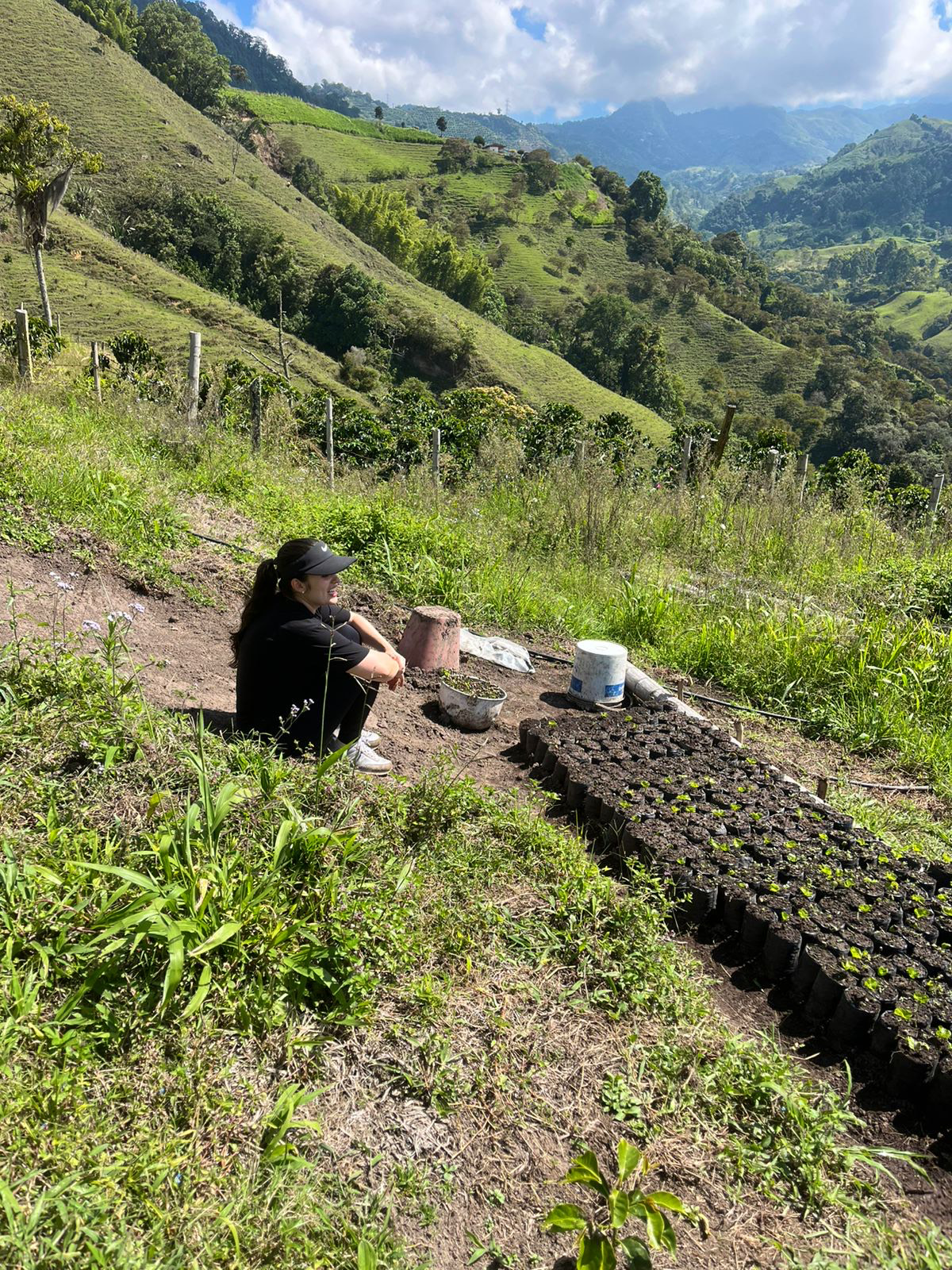 MESA VERDE - Ricardo Jaramillo + Tio Conejo: Colombia (limited edition microlot)