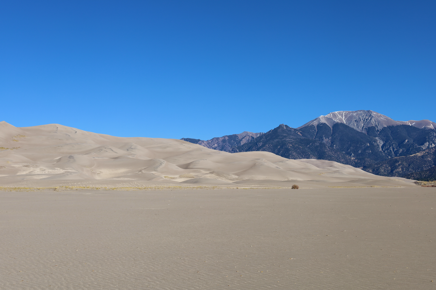 GREAT SAND DUNES - Las Lajas: Costa Rica Black Pearl Natural (limited edition microlot)