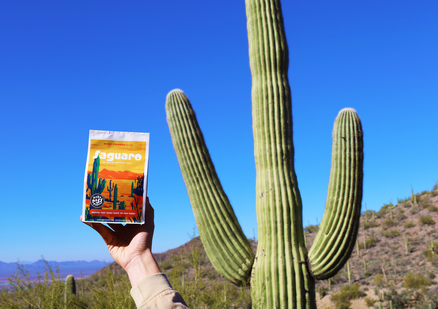 SAGUARO - Huila: Decaf Colombia