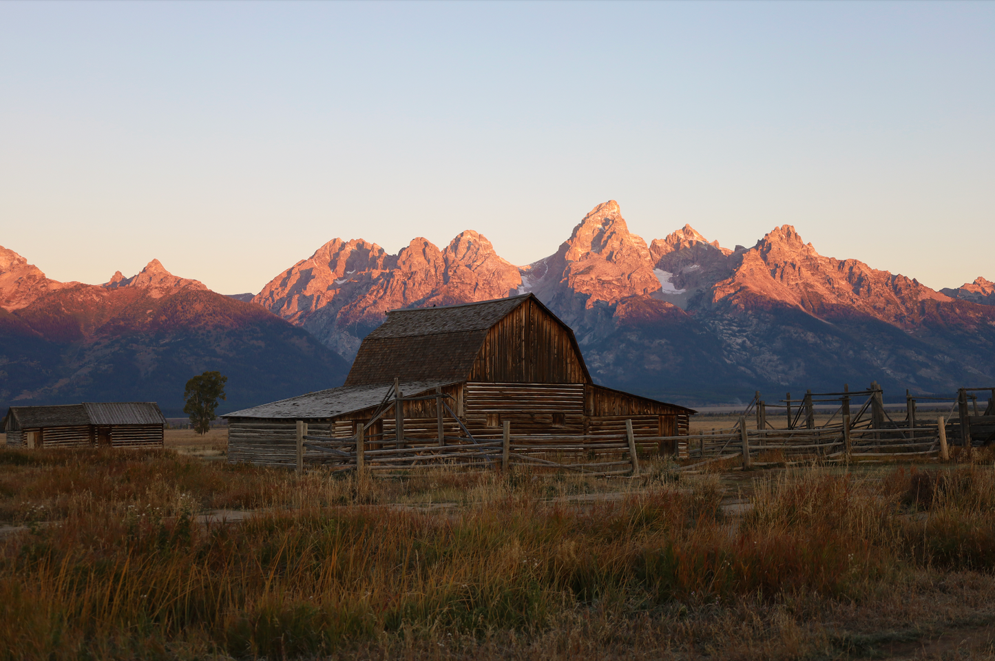 GRAND TETON - Kalimaz: Ethiopia Gugi Natural