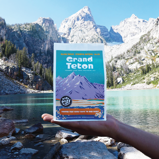 GRAND TETON - Gashu Tafese: Ethiopia Sidama Natural